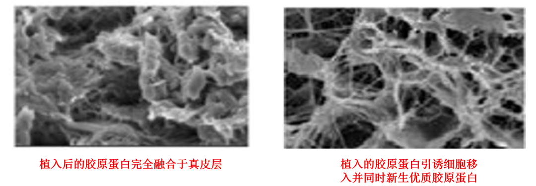微信图片_20221226135233.png 图片